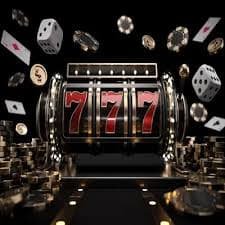 zplay8